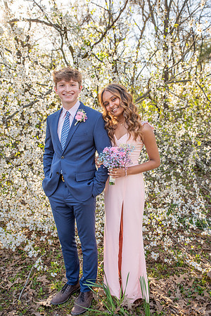 DSC_0232