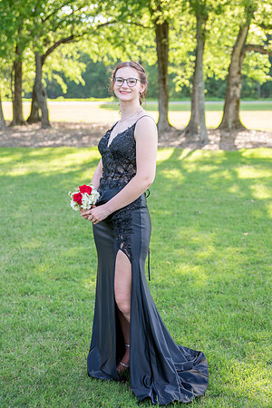 DSC_8254