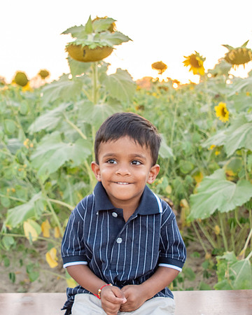 DSC_8646