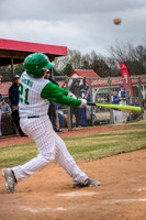 Tigers Baseball